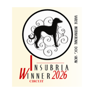 Logo del Varese International Dog Show 2026, evidenziando il circuito Insubria Winner con silhouette di cane.