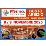 Esotika Pet Show 2025 a Busto Arsizio: salone animali esotici l'8 e 9 novembre, Malpensa Fiere, Via XI Settembre, 16.